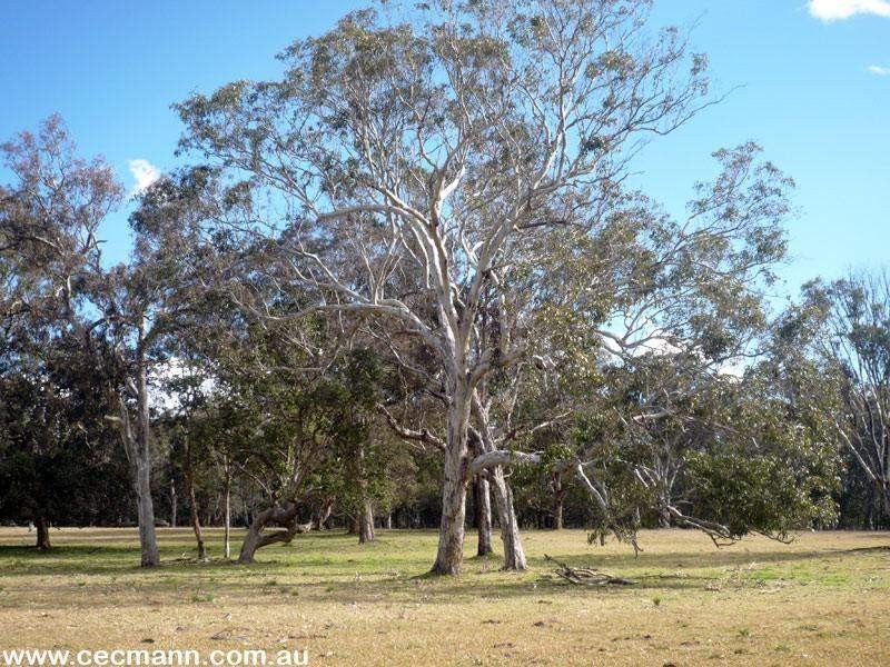 36 Tenterfield Street, Stanthorpe QLD 4380