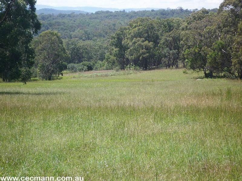 161 Cullendore Road, Stanthorpe QLD 4380
