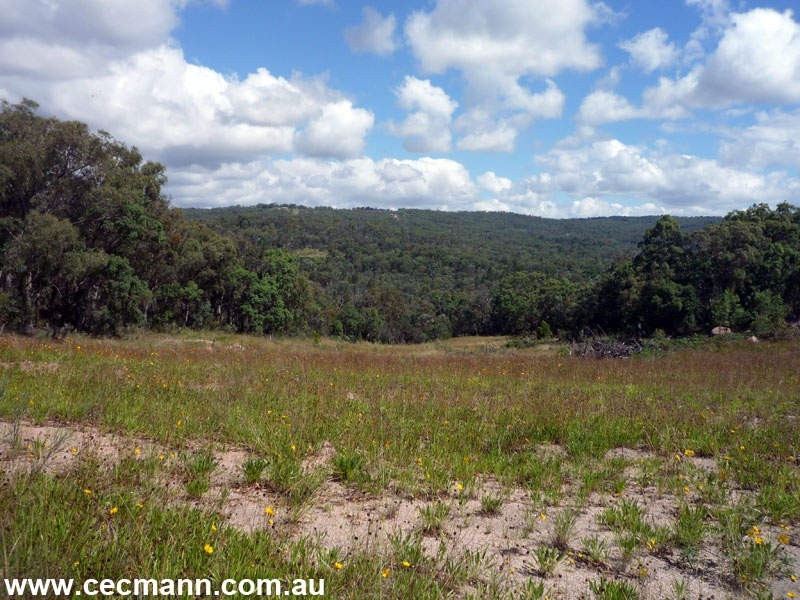 Lot 562 Carnell Road, Stanthorpe QLD 4380