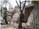 Lot 562 Carnell Road, Stanthorpe QLD 4380