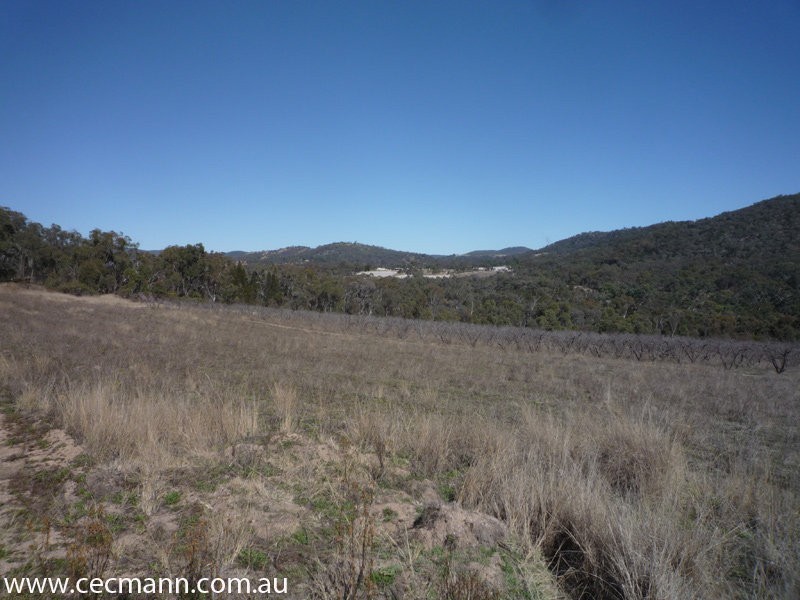 Lot 3 Rapisarda Lane, Stanthorpe QLD 4380