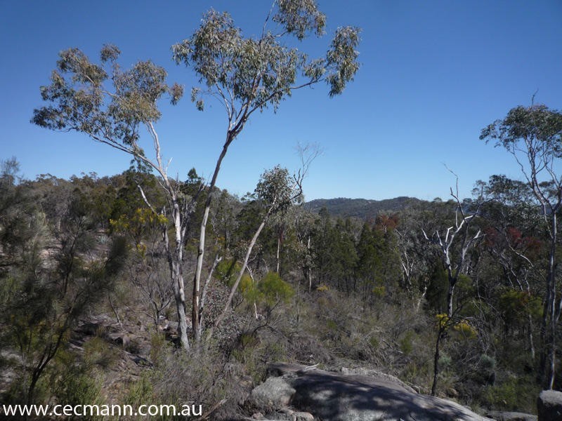 Lot 3 Rapisarda Lane, Stanthorpe QLD 4380