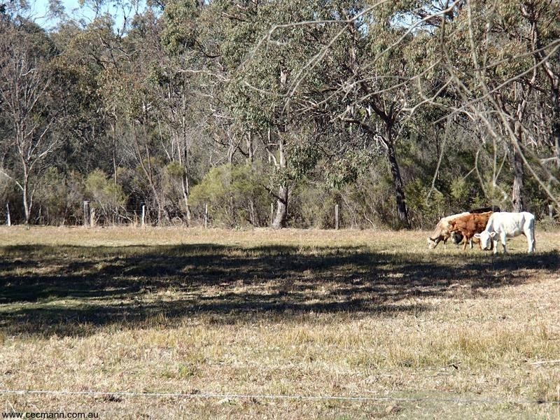 Lot 2 Unold Lane, Stanthorpe QLD 4380