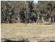 Lot 2 Unold Lane, Stanthorpe QLD 4380