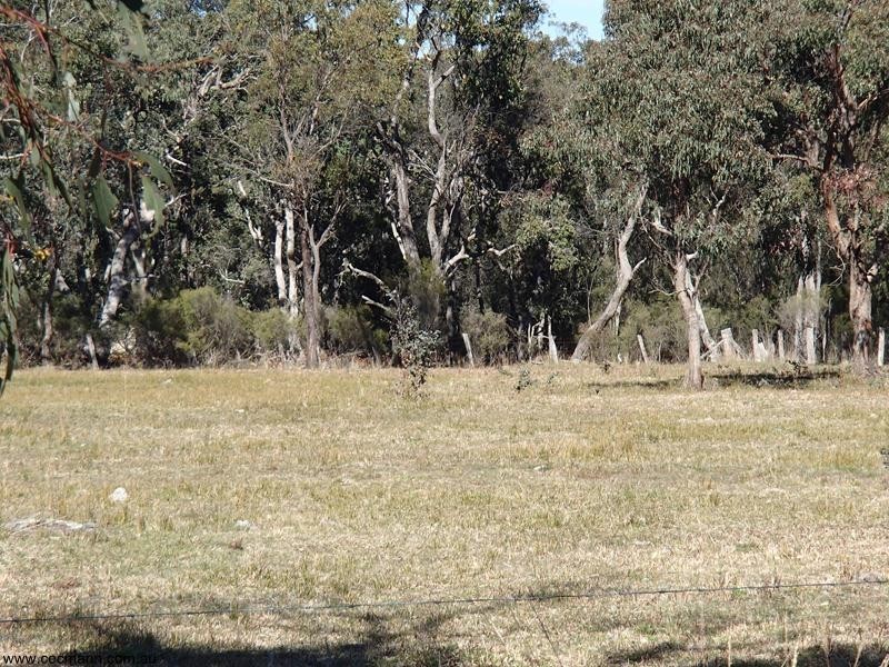 Lot 2 Unold Lane, Stanthorpe QLD 4380