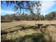 Lot 2 Unold Lane, Stanthorpe QLD 4380