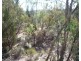 L2 Watters Road, Ballandean QLD 4382