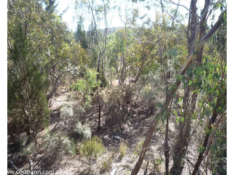 L2 Watters Road, Ballandean QLD 4382