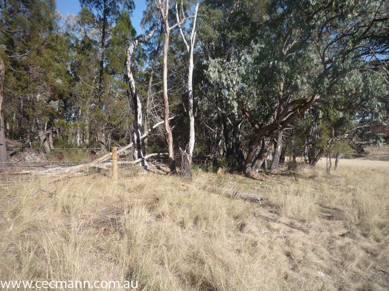 2399 Pyramids Road, Stanthorpe QLD 4380