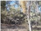 2399 Pyramids Road, Stanthorpe QLD 4380