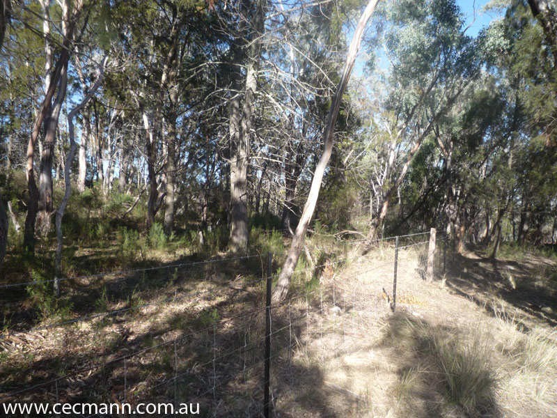 2399 Pyramids Road, Stanthorpe QLD 4380