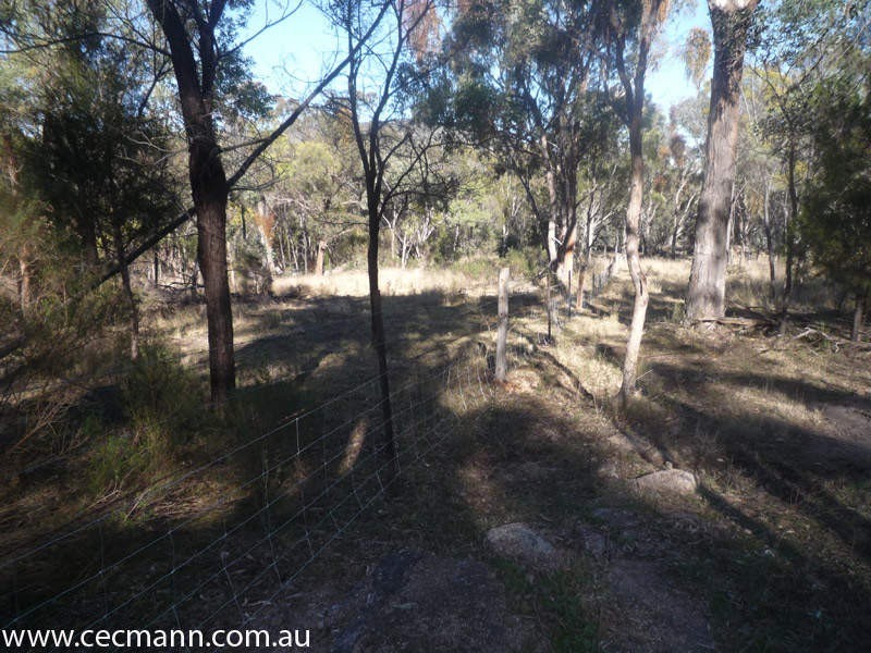 2399 Pyramids Road, Stanthorpe QLD 4380