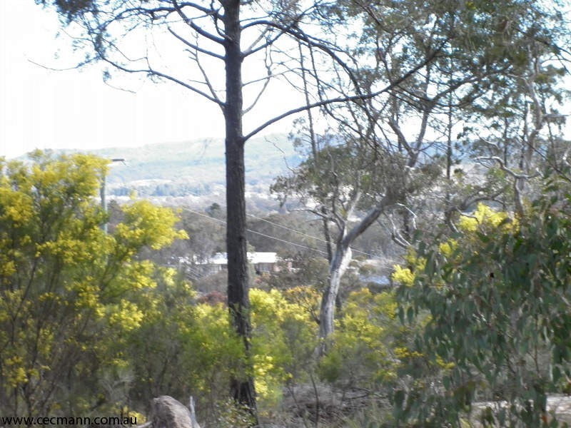 27 Brunckhorst Avenue, Stanthorpe QLD 4380