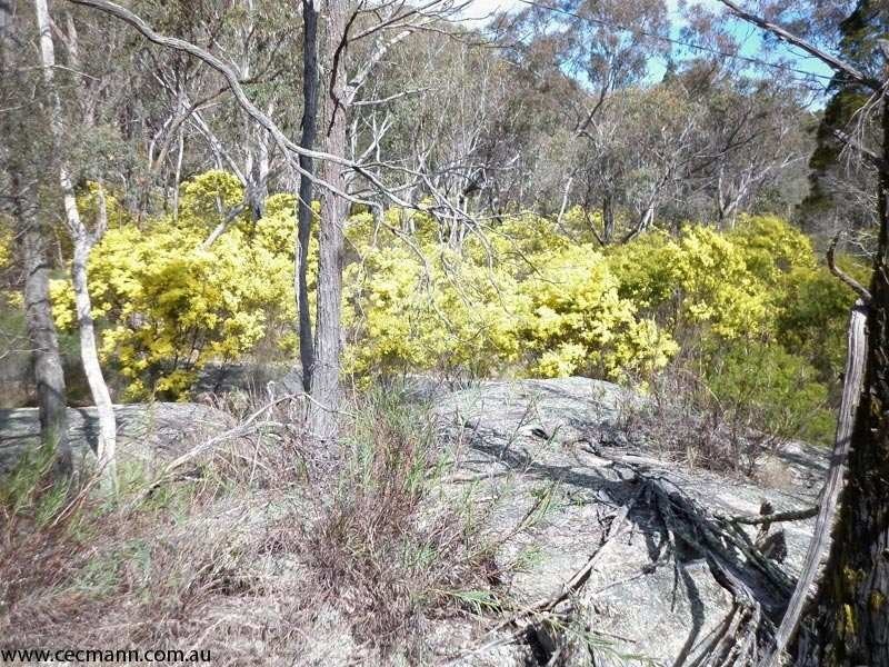 27 Brunckhorst Avenue, Stanthorpe QLD 4380