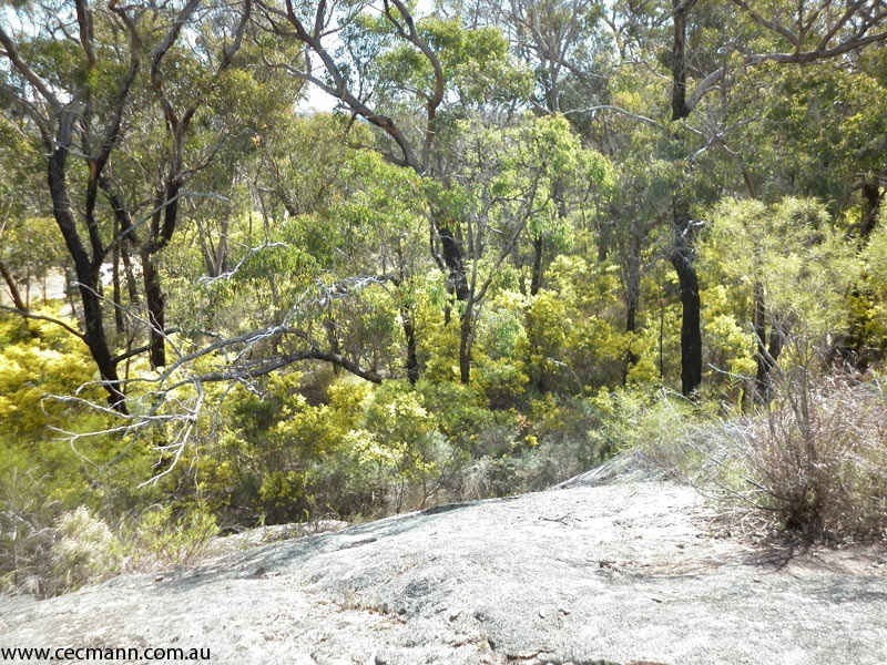 27 Brunckhorst Avenue, Stanthorpe QLD 4380