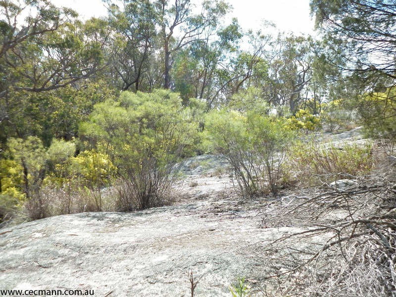 27 Brunckhorst Avenue, Stanthorpe QLD 4380