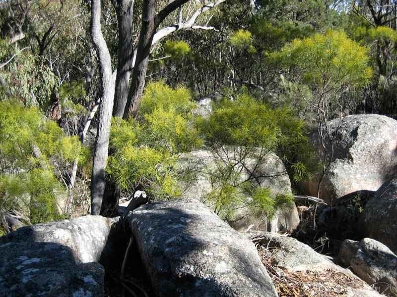Lot 31 Glenlyon Drive, Stanthorpe QLD 4380
