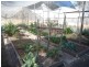 561 Sorrento Road, Stanthorpe QLD 4380