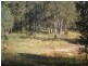 561 Sorrento Road, Stanthorpe QLD 4380