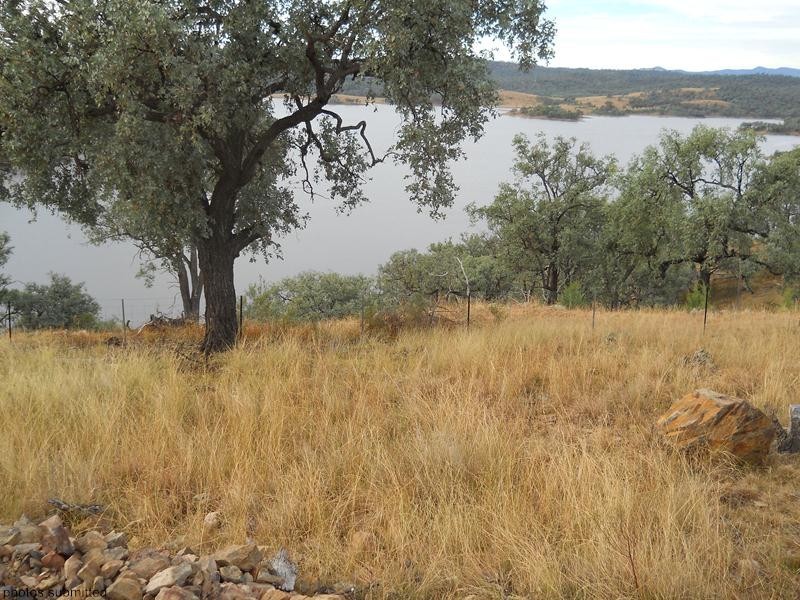122 Kenyon Lane, Glen Lyon Via, Stanthorpe QLD 4380