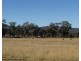 Lot 3 Collins Road, Glen Aplin QLD 4381