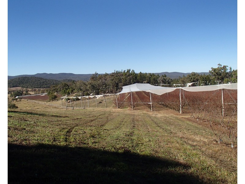 Lot 3 Collins Road, Glen Aplin QLD 4381