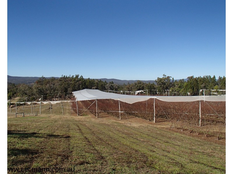 Lot 3 Collins Road, Glen Aplin QLD 4381