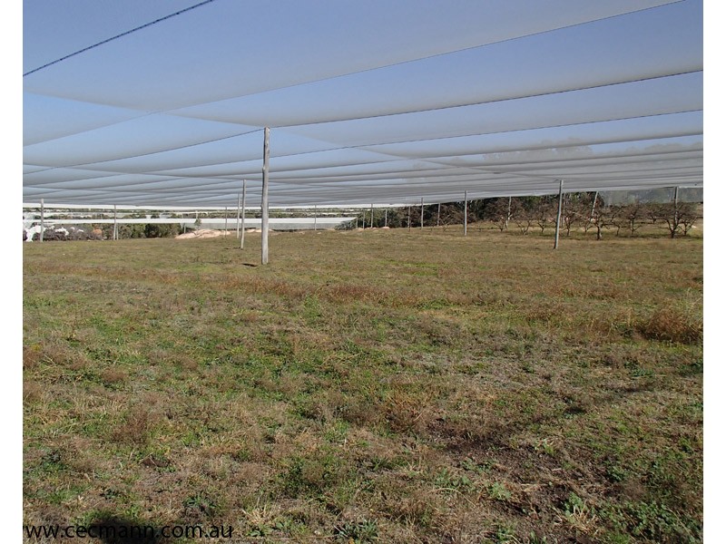 Lot 3 Collins Road, Glen Aplin QLD 4381