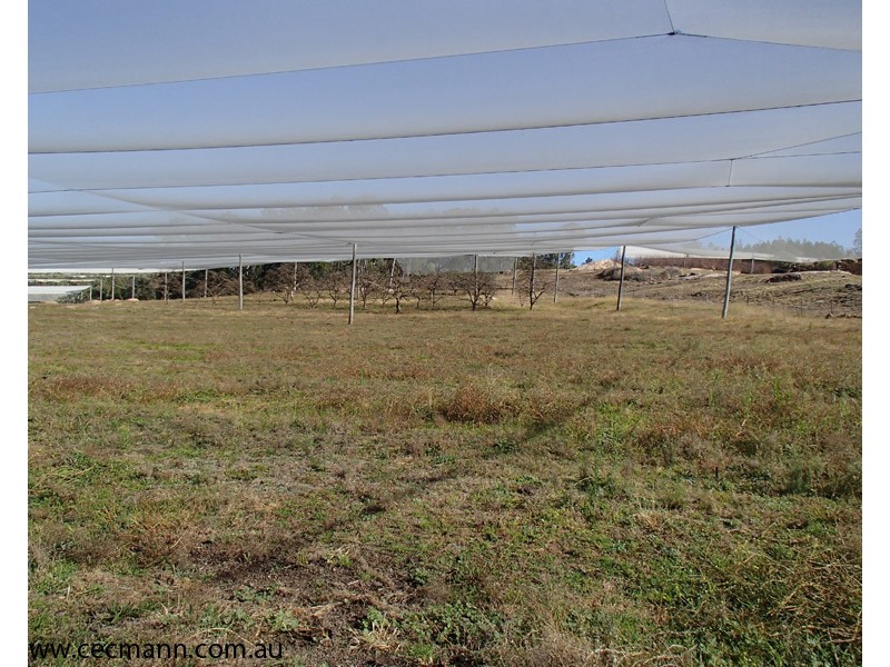 Lot 3 Collins Road, Glen Aplin QLD 4381