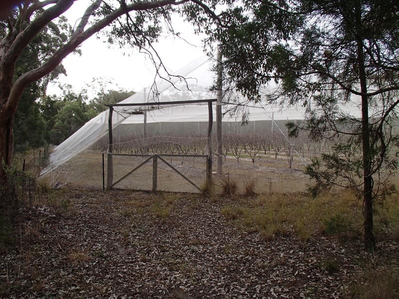 132 Knibb Road, Stanthorpe QLD 4380