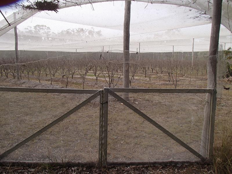 132 Knibb Road, Stanthorpe QLD 4380