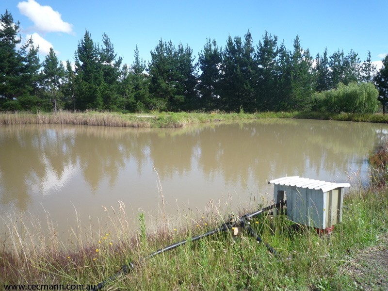 526 Old Warwick Road, Stanthorpe QLD 4380