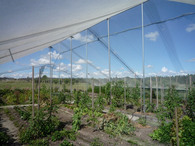 526 Old Warwick Road, Stanthorpe QLD 4380