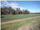 L1 Church Road, Stanthorpe QLD 4380