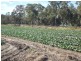 L1 Church Road, Stanthorpe QLD 4380