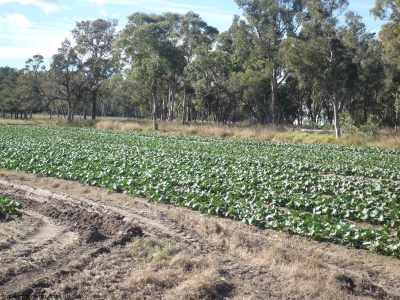 L1 Church Road, Stanthorpe QLD 4380