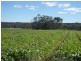 100 Ellwood Road, Stanthorpe QLD 4380