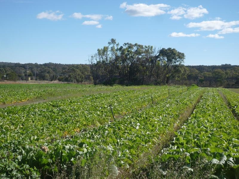100 Ellwood Road, Stanthorpe QLD 4380