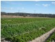 100 Ellwood Road, Stanthorpe QLD 4380