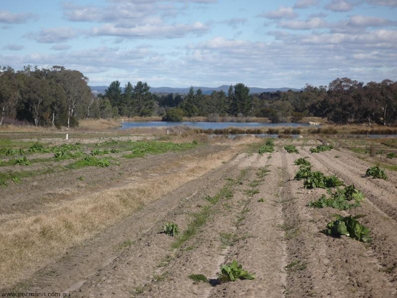 100 Ellwood Road, Stanthorpe QLD 4380