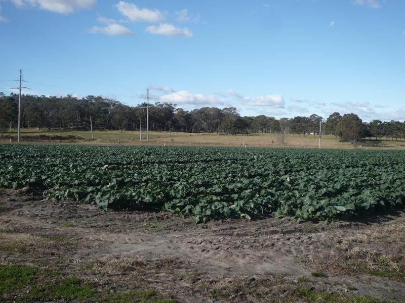 378 Church Road, Stanthorpe QLD 4380