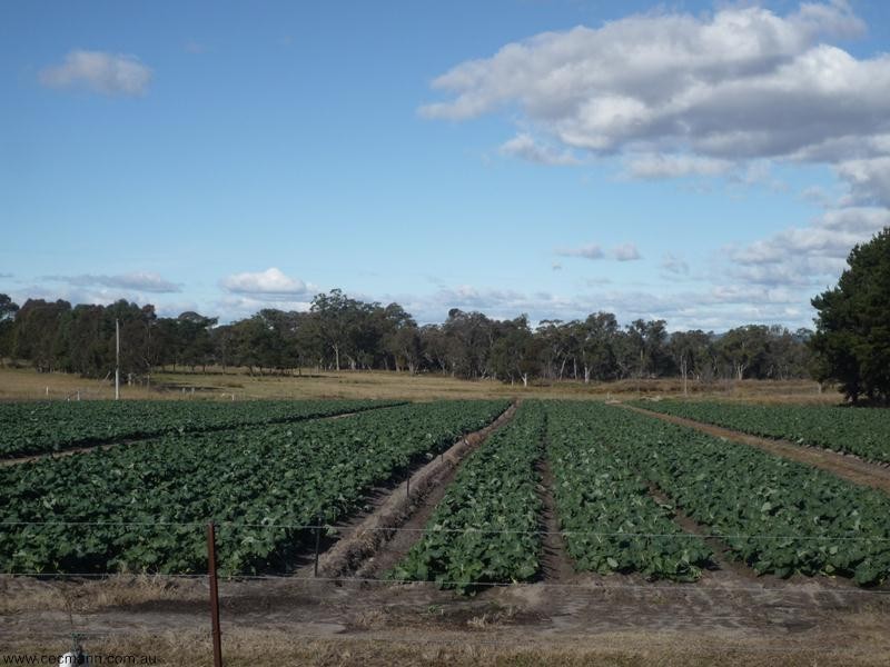 378 Church Road, Stanthorpe QLD 4380