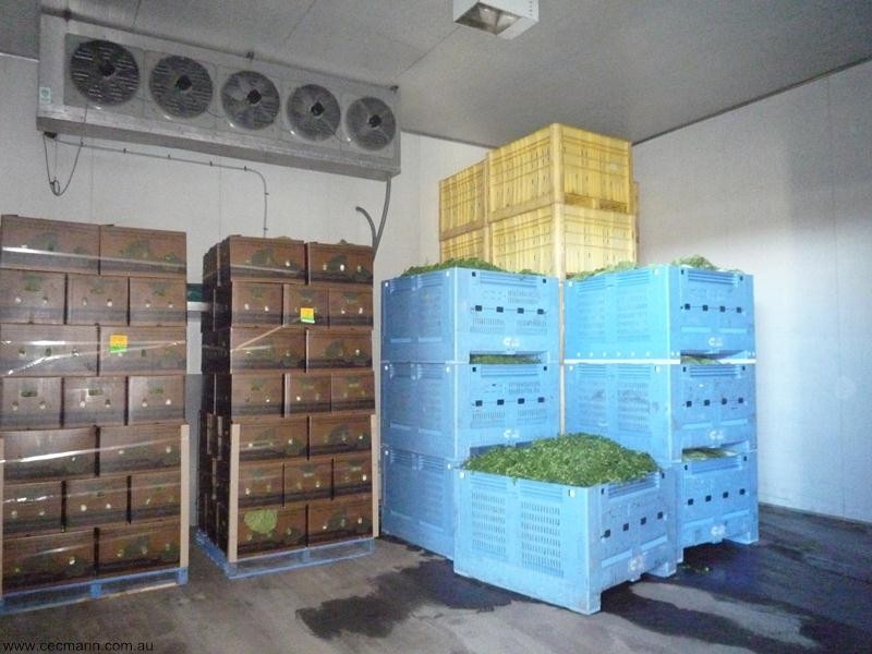 378 Church Road, Stanthorpe QLD 4380