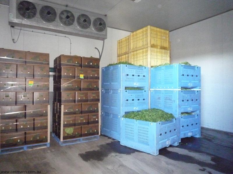 378 Church Road, Stanthorpe QLD 4380