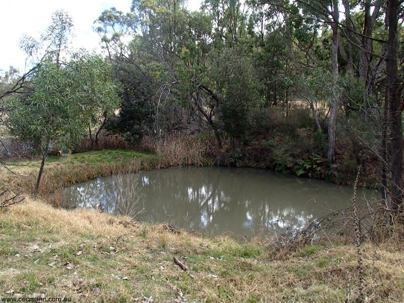 2302 Pyramids Road, Stanthorpe QLD 4380