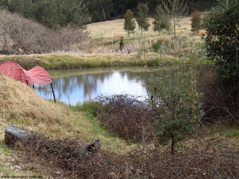 2302 Pyramids Road, Stanthorpe QLD 4380