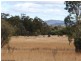 2302 Pyramids Road, Stanthorpe QLD 4380