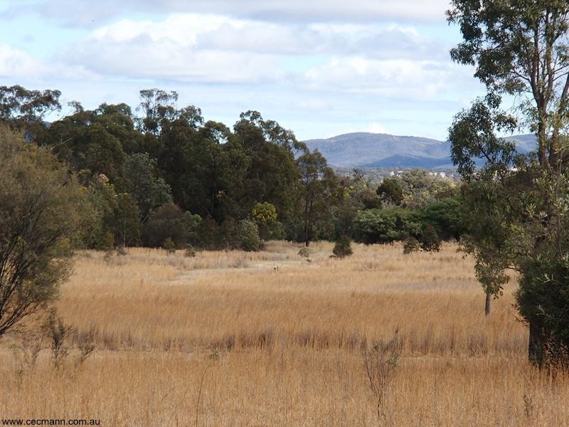 2302 Pyramids Road, Stanthorpe QLD 4380