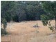 2302 Pyramids Road, Stanthorpe QLD 4380