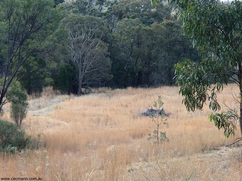 2302 Pyramids Road, Stanthorpe QLD 4380